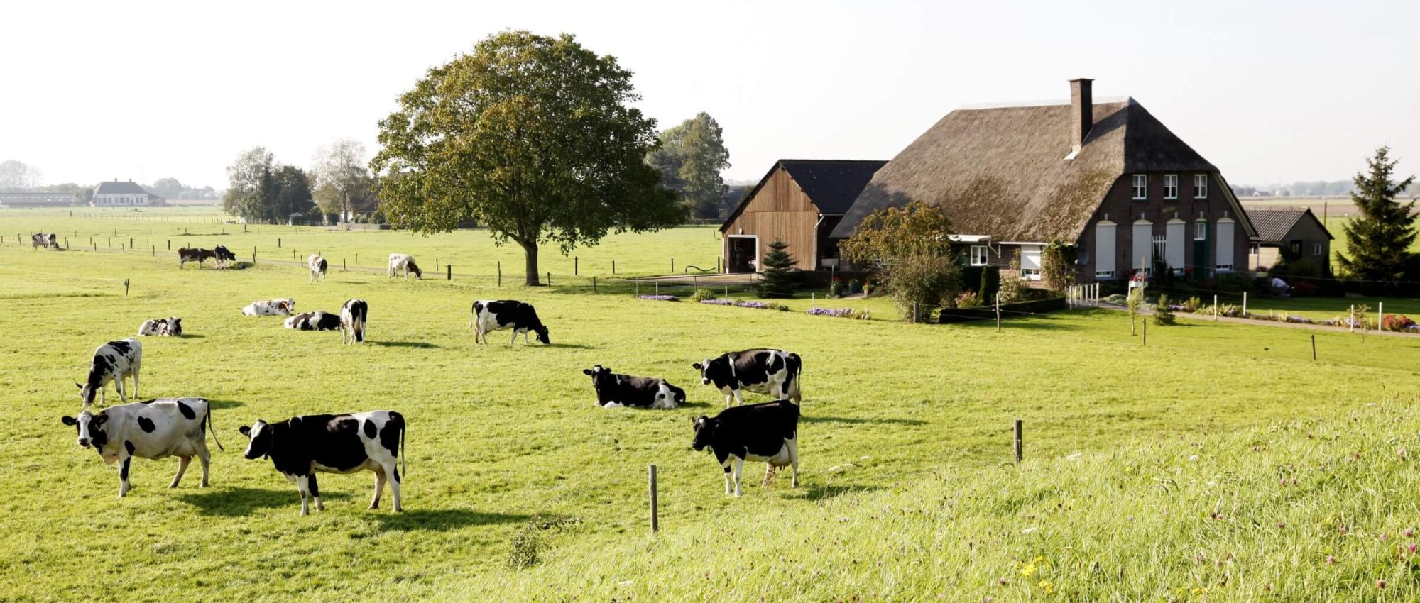 Herwaardering landbouwvrijstelling en Balanswaarde