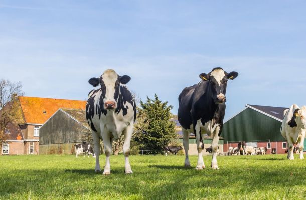 Bedrijfsbeëindiging, bedrijfsverplaatsing en bedrijfsuitbreiding