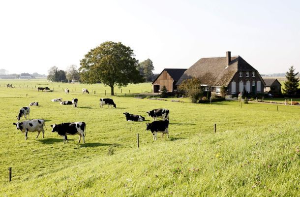 Herwaardering landbouwvrijstelling en balanswaarde