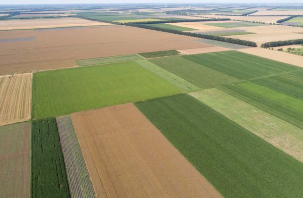 Beleggen en investeren in landbouwgrond