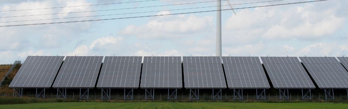 zonnepark windpark