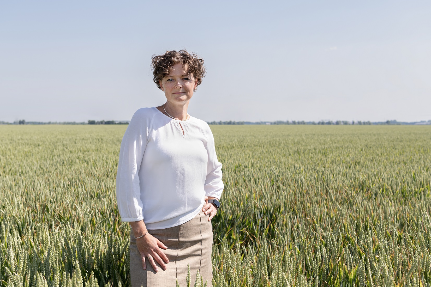 Cor van Zadelhoff
